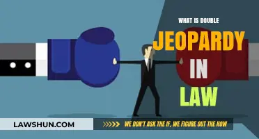 Understanding Double Jeopardy: A Legal Principle Explained