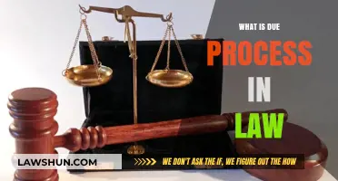 Understanding Due Process: A Cornerstone of Legal Protections