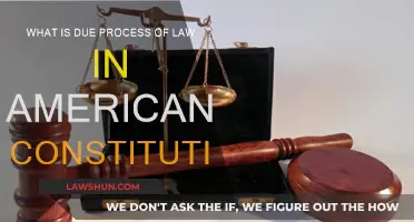 Due Process of Law: Understanding American Constitutional Rights