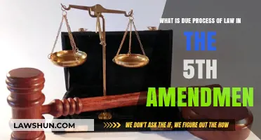 Understanding Due Process: The 5th Amendment's Legal Protections Explained