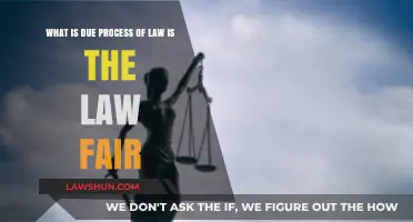 Is Due Process Fair? Exploring the Law's Justice and Equity