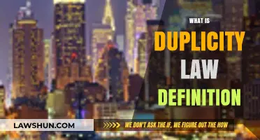 Understanding Duplicity Law: Definition, Implications, and Legal Consequences