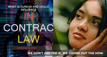 Duress and Undue Influence: Invalidating Contracts