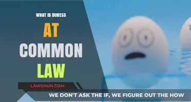 Understanding Duress: Common Law Definition and Applications