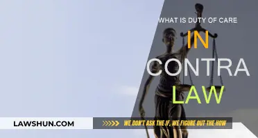 Understanding Duty of Care in Contract Law