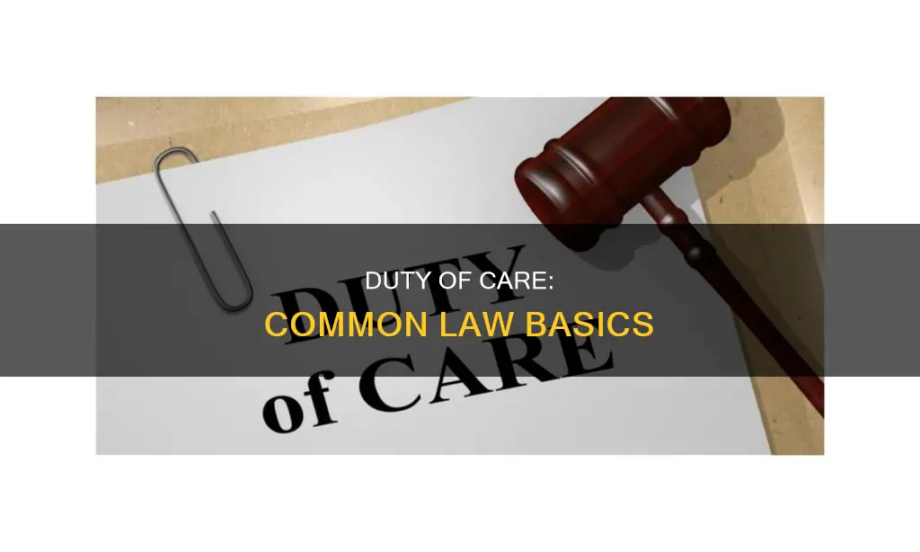 what is duty of care under common law