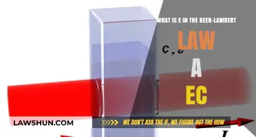 Understanding 'e' in Beer-Lambert Law: Absorption Coefficient Explained