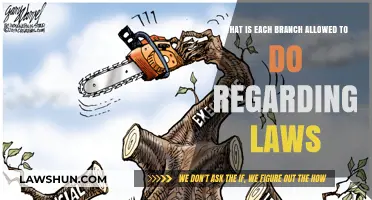 Understanding the Legal Powers of Each Government Branch: A Comprehensive Guide