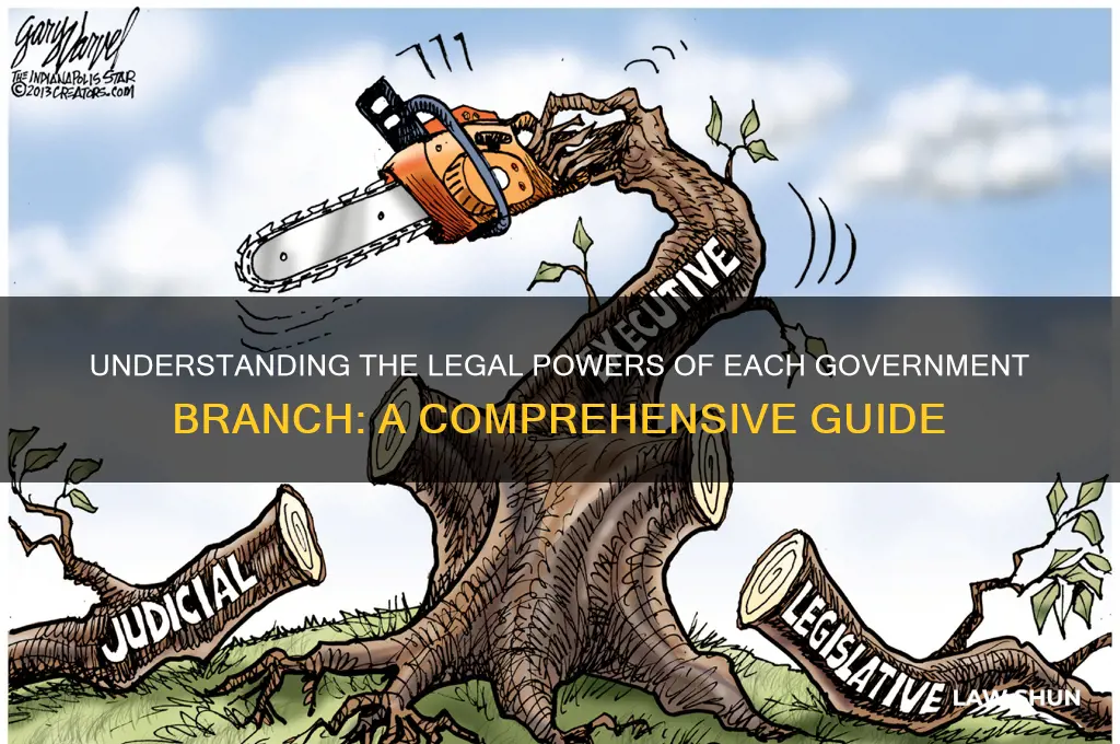 what is each branch allowed to do regarding laws