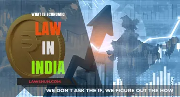 Understanding India's Economic Law Framework