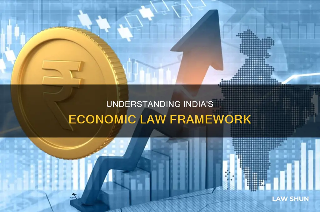 what is economic law in india