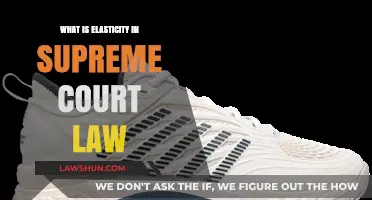 Understanding Elasticity: A Key Concept in Supreme Court Legal Interpretation