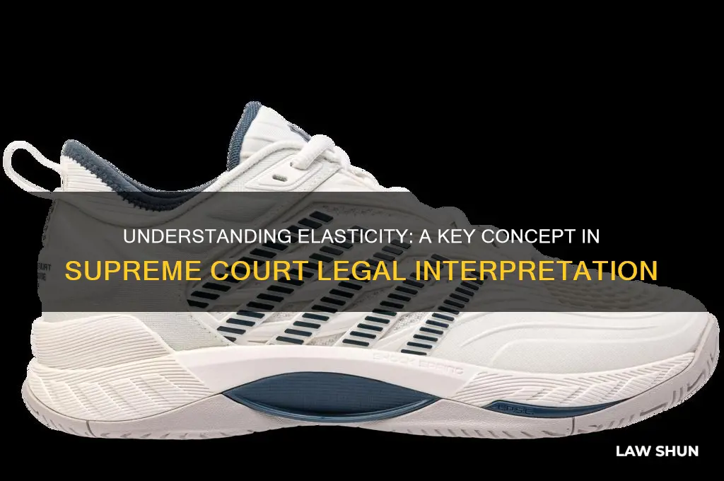 what is elasticity in supreme court law