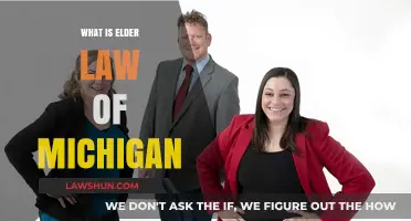 Understanding Michigan's Elder Law: Rights, Protections, and Legal Resources