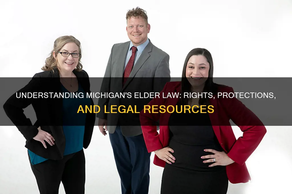 what is elder law of michigan