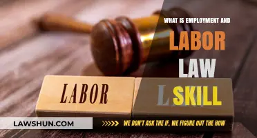 Understanding Employment and Labor Law Skills: Essential Knowledge for Professionals