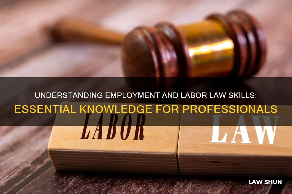 what is employment and labor law skill