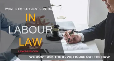 Understanding Employment Contracts: Labour Law Basics