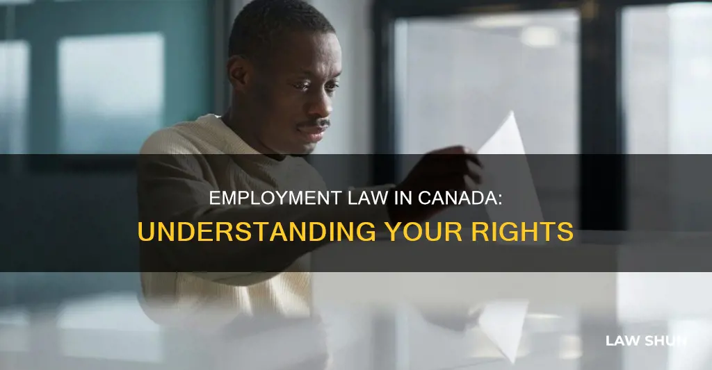 what is employment law canada