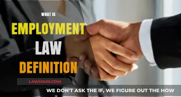 Understanding Employment Law: Definition, Scope, and Key Principles Explained