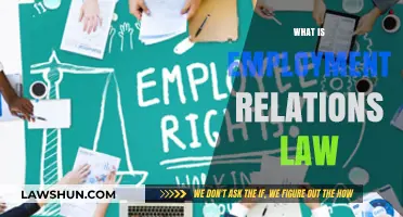 Understanding Employment Relations Law: Rights, Responsibilities, and Workplace Dynamics