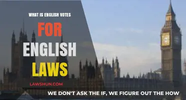Understanding English Votes for English Laws: A Comprehensive Guide