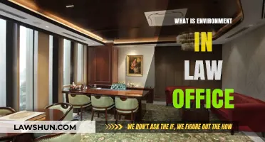 Understanding the Legal Environment: Dynamics of a Law Office Setting