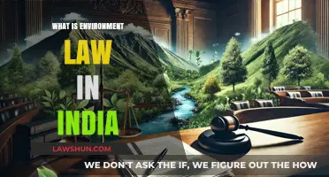 Environmental Law in India: Understanding the Basics