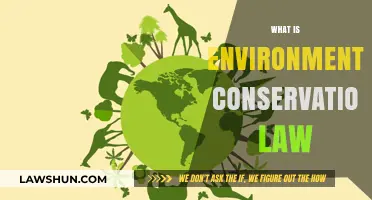 Understanding Environmental Conservation Law: Protecting Our Planet's Future