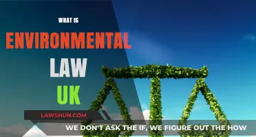 Understanding UK Environmental Law Basics