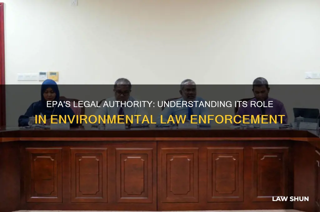 what is epa