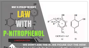 Understanding Epsilon in Beer's Law: P-Nitrophenol Absorption Explained