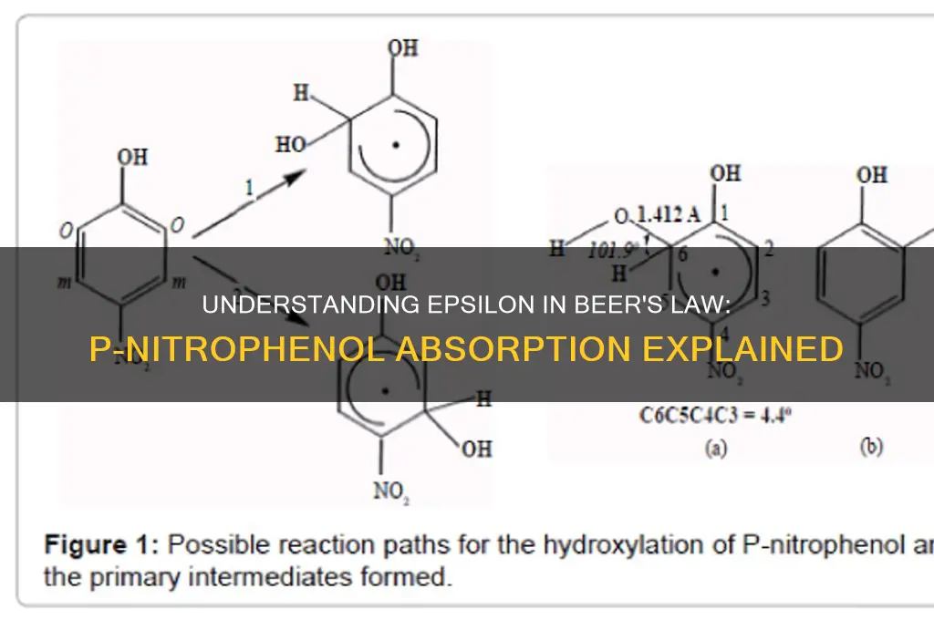 what is epsilon for beer