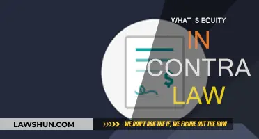 Equity in Contract Law: Unfairness and Injustice Remedies