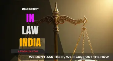 Equity in Indian Law: Exploring the Balance