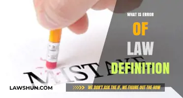 Understanding Error of Law: Definition, Implications, and Legal Consequences