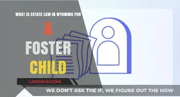 Wyoming Estate Law: Foster Child Rights and Inheritance Explained