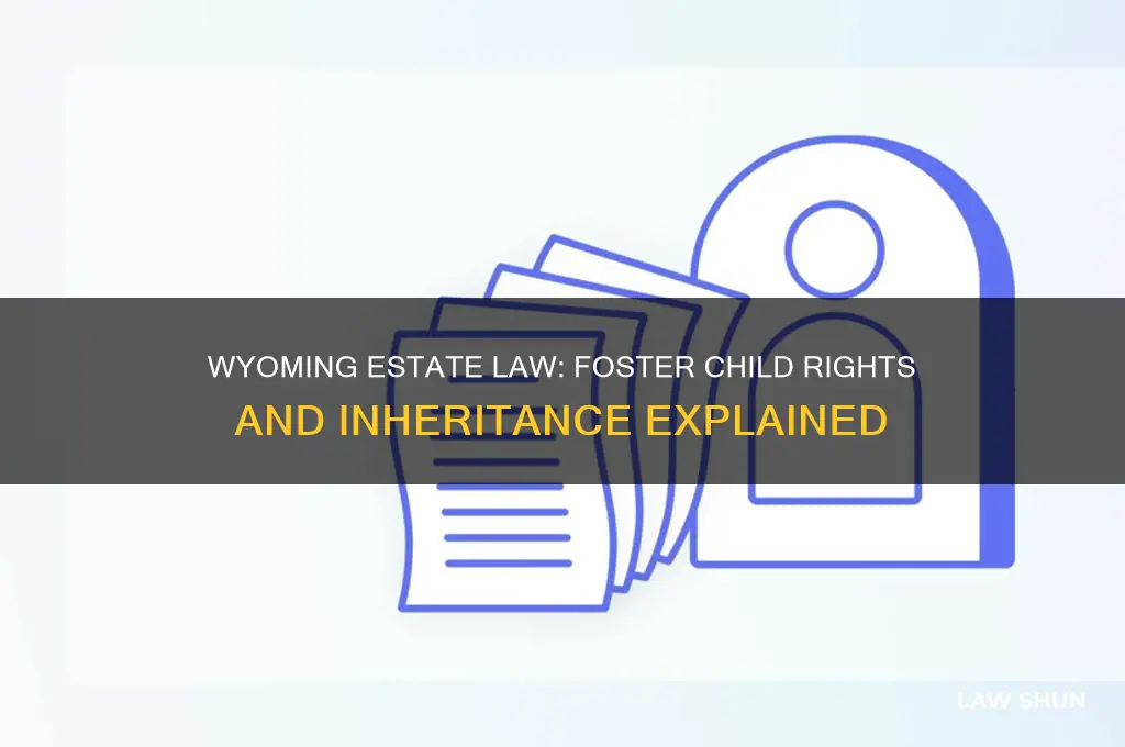 what is estate law in wyoming for a foster child