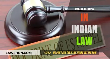 Estoppel in Indian Law: Key Principles Explained