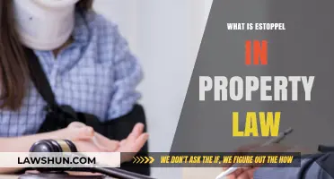 Understanding Estoppel in Property Law: Key Principles and Applications