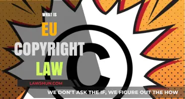 Understanding EU Copyright Law: Key Principles and Implications Explained