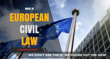 Understanding European Civil Law: Origins, Principles, and Modern Applications