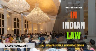 Ex Parte in Indian Law: What's the Deal?