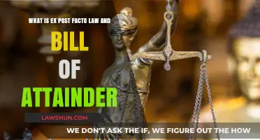 Ex Post Facto Laws and Bills of Attainder: Understanding Legal Limits