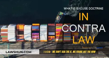 The Excuse Doctrine: Contract Law Explained