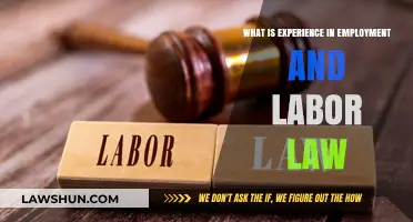 Understanding Employment Experience: Key Legal Insights for Labor Law Compliance