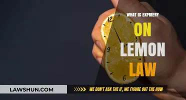 Understanding Lemon Law Expiry: What It Means for Your Vehicle Rights