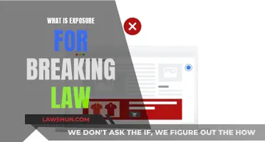 Breaking the Law: Understanding Public Exposure and Consequences