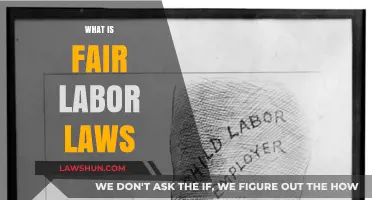 Understanding Fair Labor Laws: Rights, Protections, and Workplace Compliance