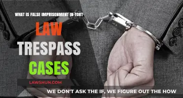 Understanding False Imprisonment in Trespass Tort Law